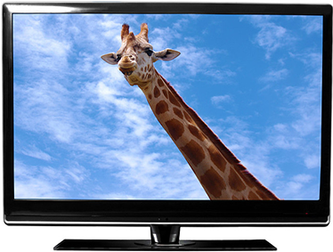 Uyintoni umahluko phakathi kweTV yeTV kunye neLCD yeTV
